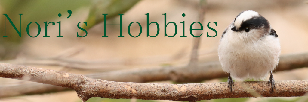 Title Image